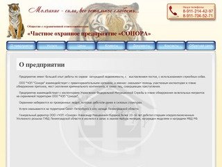 Охрана объектов недвижимости Оказание услуг охраны Предоставление услуг охраны