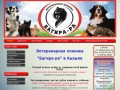 Ветеринарный врач и ветеринарная помощь в Кызыле.