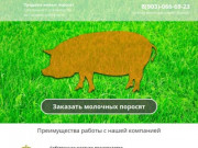 Купить поросят, молочных, маленьких, живых, мясных пород на откорм во Южно-Сахалинске и области