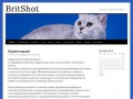 BritShot - Самарский кошачий питомник