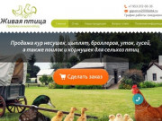 Магазин Живая птица Брянск - Продажа домашней птицы