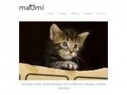 Заводчик maOmi — щенки Чихуахуа и котята Мейн-кун в Нижнем Новгороде