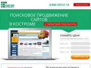 Продвижение сайтов в Костроме. Раскрутка сайтов