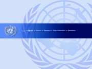 Организация объединенных наций (ООН)