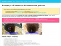 Колодцы в Коломне и Коломенском районе под ключ: копка, чистка
