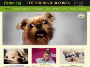 Флостон Дог — гостиница для собак в Минске