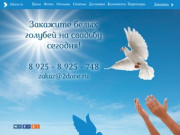 Заказ голубей  |  2dove.ru