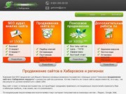 Продвижение и раскрутка сайтов в Хабаровске|Dal-SEO