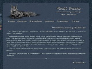 Мейн-кун питомник HEART WINNER. Предлагаем купить котят породы мейн-кун