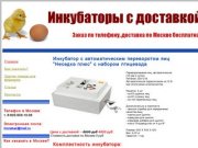 Инкубатор для яиц в Москве
