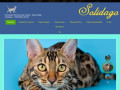 Solidago Питомник бенгальских кошек | Краснодар