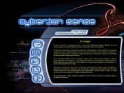 Студия рекламы и информационных технологий "Cyberian Sense Studio"