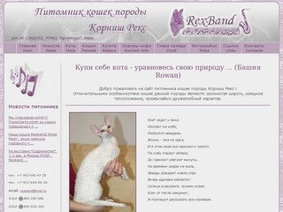 Сайт питомника кошек породы Корниш Рекс RexBand