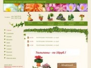 Первомайский совхоз декоративного садоводства :