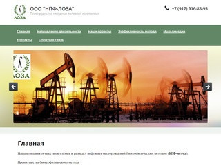 Рудные Нерудные полезные ископаемые ООО НПФ-ЛОЗА г. Казань