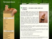 Арсури – питомник кошек мейн-кун в Перми