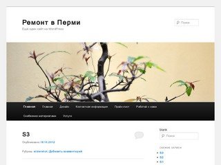 Ремонт в Перми | Ещё один сайт на WordPress