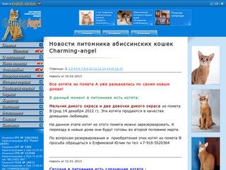 Питомник абиссинских кошек - Charming-angel