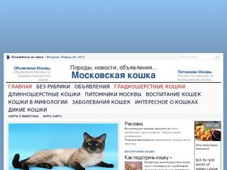 Московская кошка