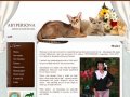 AbyPersona - питомник абиссинских кошек г.Москва