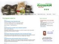 Кошки и котята Екатеринбурга. Продажа и покупка котят в Екатеринбурге