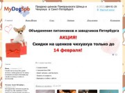 MyDog-Spb - Продажа щенков Чихуахуа, Йоркширских терьеров  в Санкт-Петербурге
