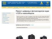 Ремонт цифровых фотоаппаратов кодак v1233 в новосибирске - Компактные цифровые фотоаппараты