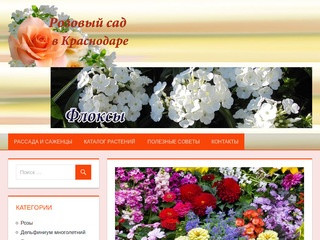 Розовый сад в Краснодаре - продажа садовых цветов