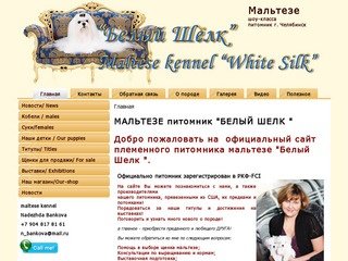 Мальтийская болонка.Официальный сайт племенного питомника мальтезе &amp;quot