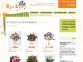 Крокус — интернет-магазин цветов. Доставка цветов по Мурманску и Мурманской области.