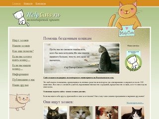 Помощь кошкам - центр реабилитации бездомных кошек, Санкт-Петербург 