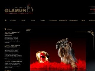 Зоостудия "Glamur" - салон красоты для собак и кошек. Нижний Новгород