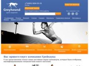 Greyhound (Грейхаунд) - интернет магазин спортивных тренажеров