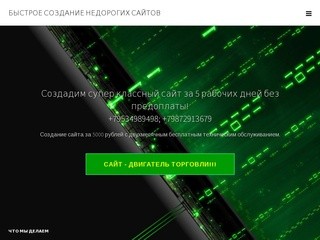 Создание сайтов Нижнекамск и по РФ.