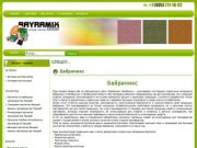 Челябинск. Байрамикс и Прораб - купить недорого, цены, описание, скидки - BAYRAMIX