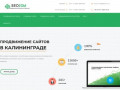 Продвижение сайтов в Калининграде от лучшей SEO компании России SeoZom