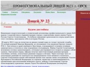 ПРОФЕССИОНАЛЬНЫЙ ЛИЦЕЙ №23