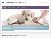 Ветеринар в Оренбурге — ветуслуги, вызов ветеринара на дом