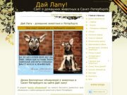 Дай Лапу - домашние животные, собаки и кошки - dailapyru - Санкт-Петербург