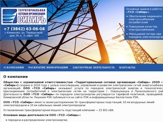 Территориальная сетевая организация «Сибирь» - Кемерово - О компании