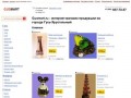 Gusmart.ru - интернет-магазин продукции из города Гусь-Хрустальный