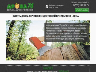 Доставка дров | Купить дрова березовые колотые в Челябинске - цена | Компания 