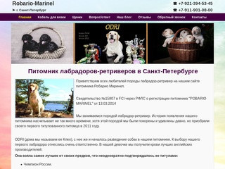 Robario Marinel - питомник собак лабрадоров-ретриверов в СПб - официальный сайт.