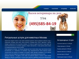 Ритуальные услуги для животных Москва < Кремация | Усыпление | Захоронение