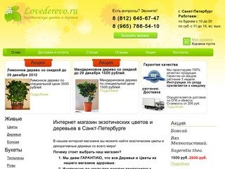 Интернет магазин экзотических цветов и деревьев в Санкт-Петербурге