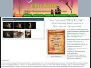 Elite Kitties - питомник Абиссинских, Бенгальских, Британских пород.
