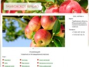 Тамбовское яблоко | Товарное и промышленное яблоко