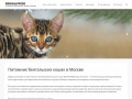 BENGALPRIDE, питомник бенгальских кошек в Москве (Россия, Московская область, Москва)