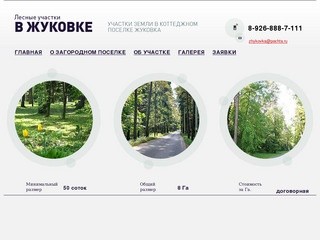 Земельные участки в поселке Жуковка