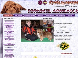 Гордость Донбасса КСУ Донецк